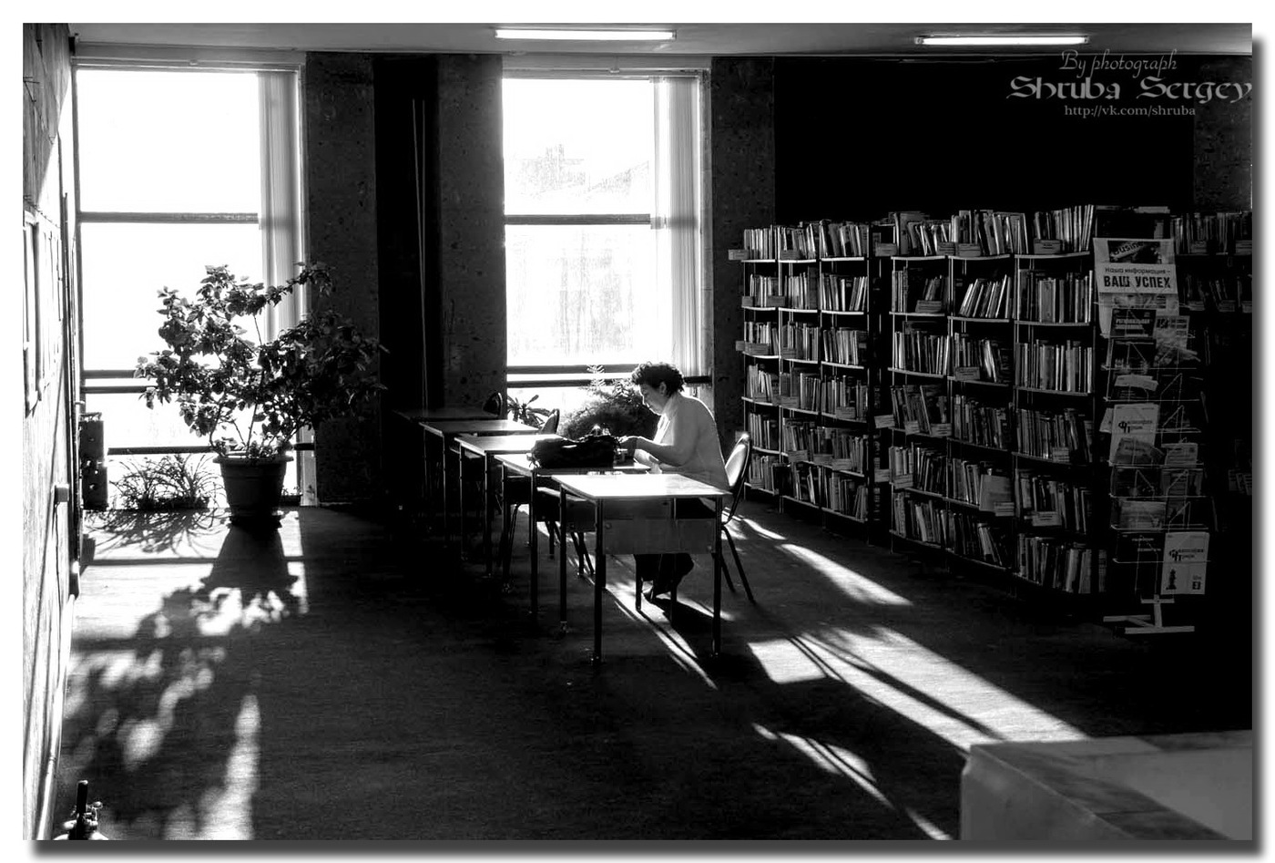 библиотека черно белое фото
