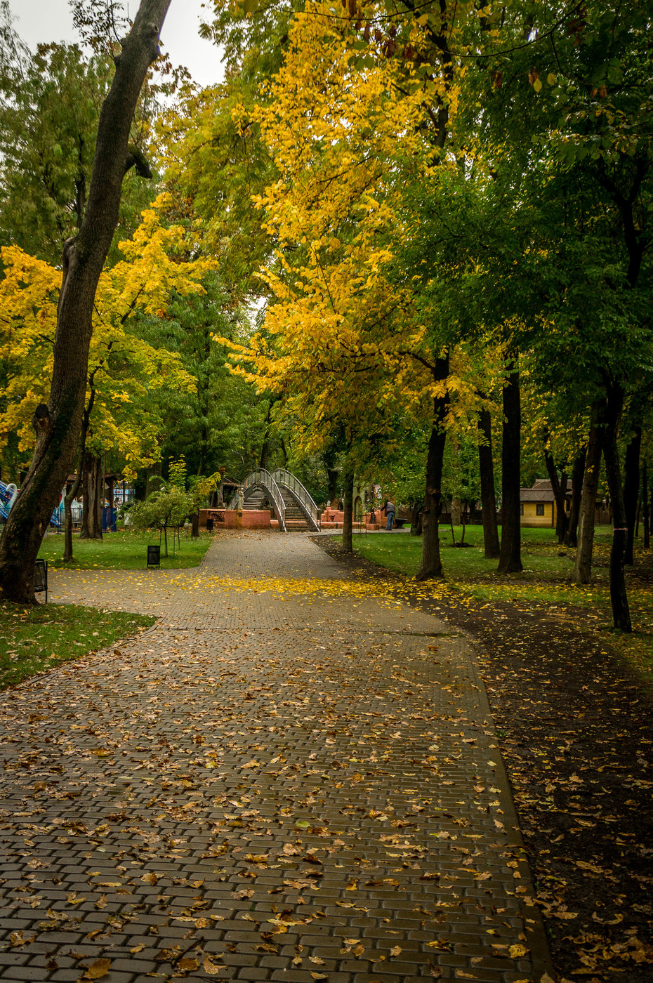 Парк Краснодар осень