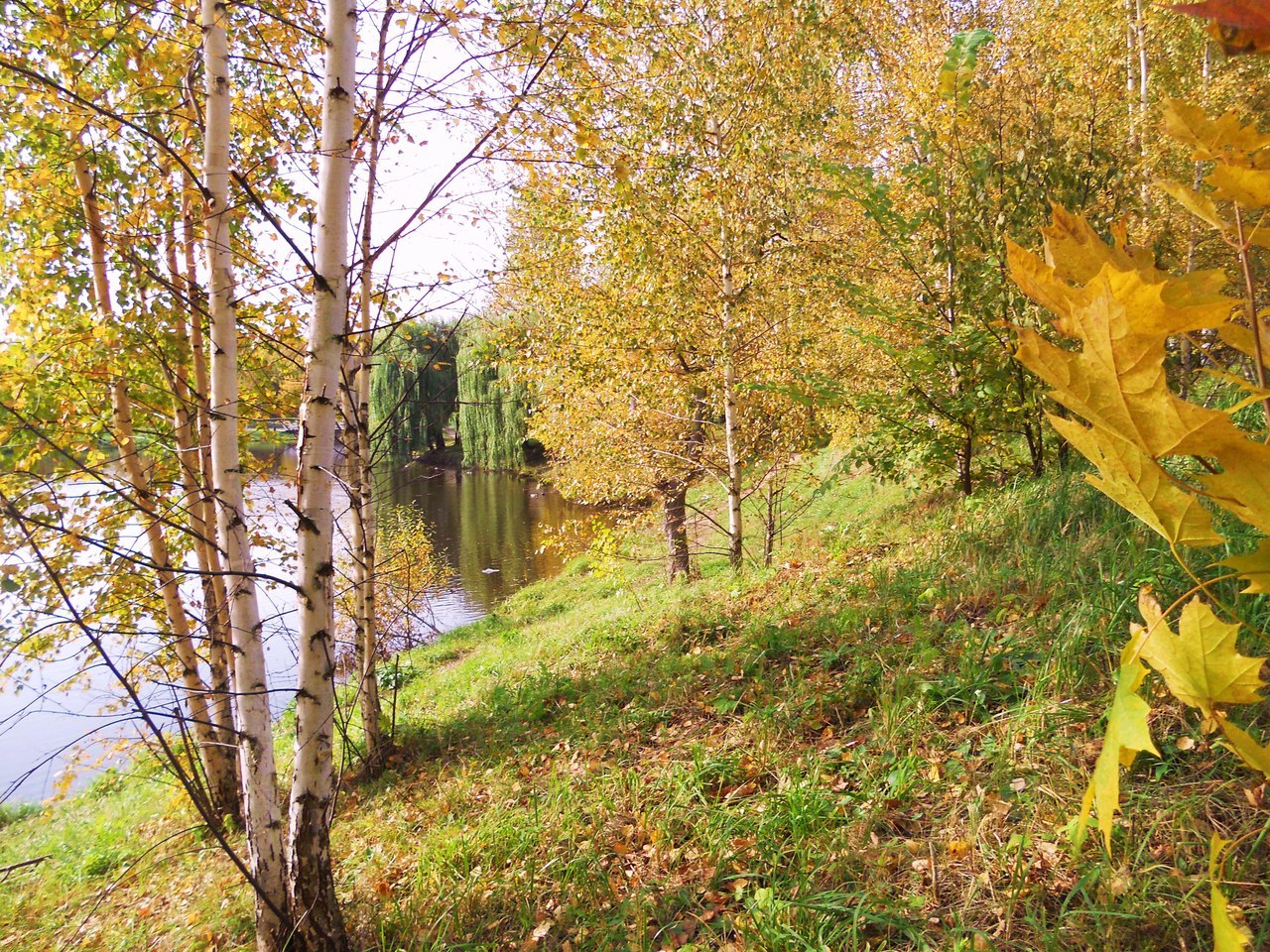 Волга бабье лето